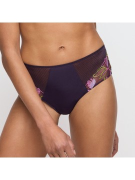 Marie Jo Loish Full Brief